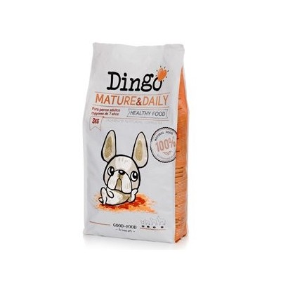 dingo mature 12 kg